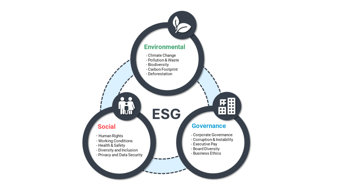 Sustainability (ESG) - AMD Consulting